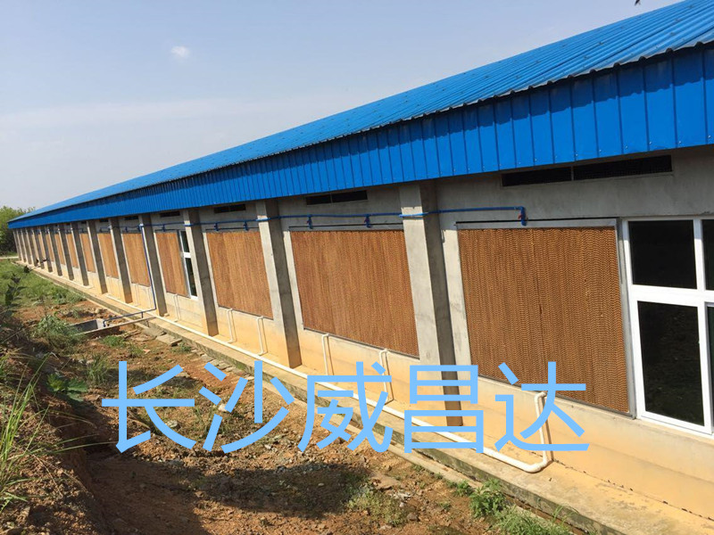 水帘风机养殖降温设备降温原理是什么？
