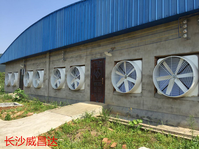 水帘风机通风降温系统-厂房降温的优质选择
