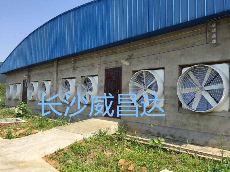 夏日养殖猪场清凉降温就交给水帘风机降温系统
