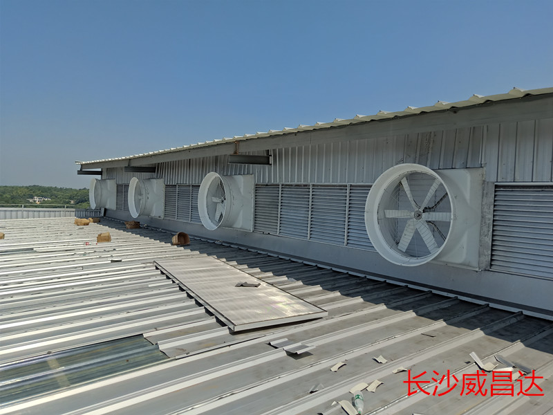 水帘风机，一款实用性价比高的厂房降温设备